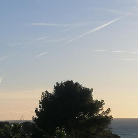 Sanary Les Gorguettes, Studio Avec Terrasse Vue Mer, A 10 Min A Pieds De La Plage Kültér fotó